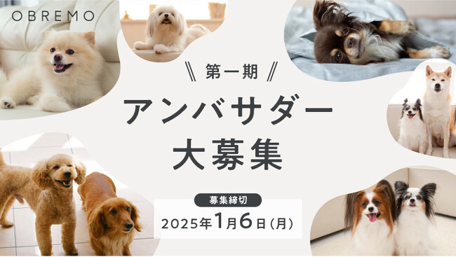 “人と同じ食卓に並べられる品質”のヒューマングレードドッグフードブランド「OBREMO（オブレモ）」が公式アンバサダー1期生の募集を開始。