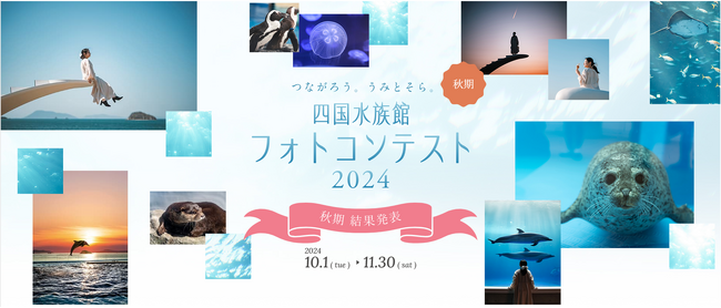 『つながろう。うみとそら。四国水族館フォトコンテスト2024』秋期　授賞作品を決定