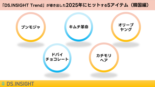 【ヤフー・データソリューション】2025年のヒットアイテム予測「韓国編」を公開