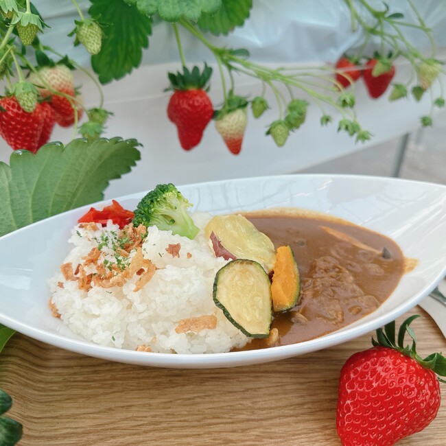 滋賀県守山市のいちご農園が「いちご農園の本格いちごカレー」を新発売!