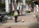 高齢者が犬と暮らすことによって