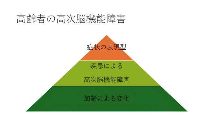 【新潟医療福祉大学】高次脳機能障害に関する研修会「令和６年度新潟圏域高次脳機能障害支援従事者研修会」で講演！