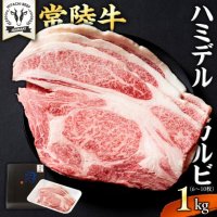 【おすすめの返礼品＜お肉特集＞】ふるさと本舗