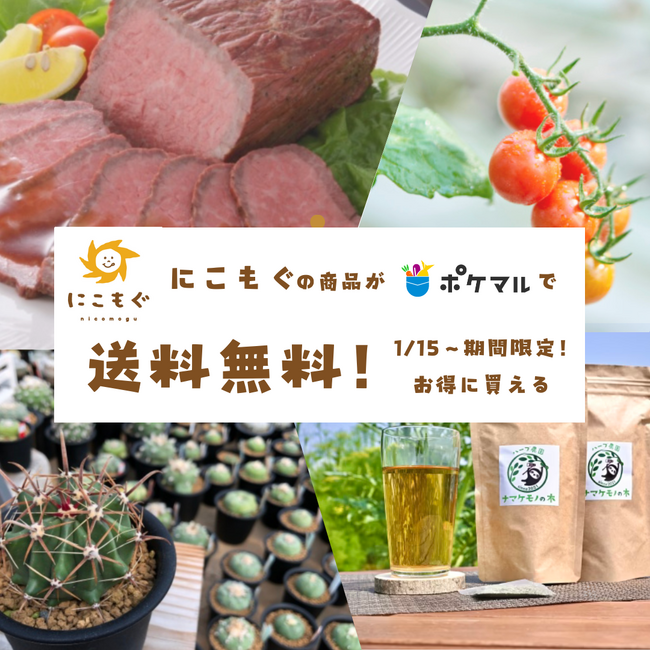 【愛知県半田市】1/15(水)～3/15(土)産直ECサイト「ポケットマルシェ」で半田の農産品が送料無料で購入できます！