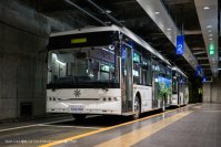 立山黒部アルペンルート、2025年4月15日(火)より「立山トンネル電気バス」運行予定！
