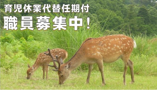 奈良県育児休業代替任期付職員（事務）を募集！
