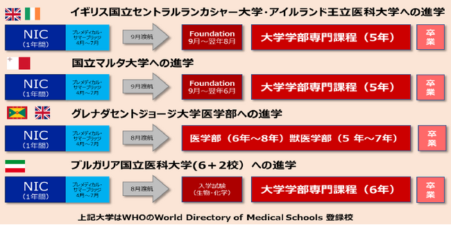 ≪「医師を目指して留学する」学生が増加中！「日本の医学部」と「海外の医学部」の違いとは？≫　海外医学部への道を切り開く！NICとマルタ大学の協同プログラムで「海外大学医学部進学コース」がさらに進化！