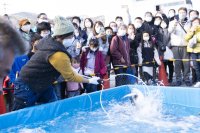 「第31回伊東温泉めちゃくちゃ市」1/25(土)・26(日)開催！～伊豆半島の特産品を“めちゃくちゃ市”価格で買える～