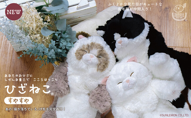【癒し系ぬいぐるみ】すやすやと眠っている姿が大人気のひざねこに人気の長毛種が新登場！
