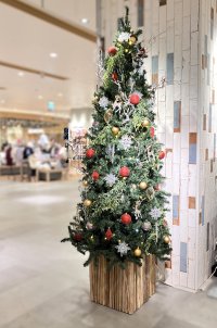 【ウインター装飾実施レポート】　高槻阪急スクエア