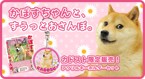 世界一有名な柴犬「Doge」の象徴 かぼすちゃんの写真集が期間限定で発売開始！―かぼすちゃんと過ごした大切な時間がこの一冊に。―