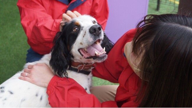 藤和那須リゾート株式会社の保護犬活動「SOS活動」について