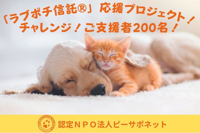 犬猫の殺処分撲滅！クラファンプロジェクト1月19日から始動！