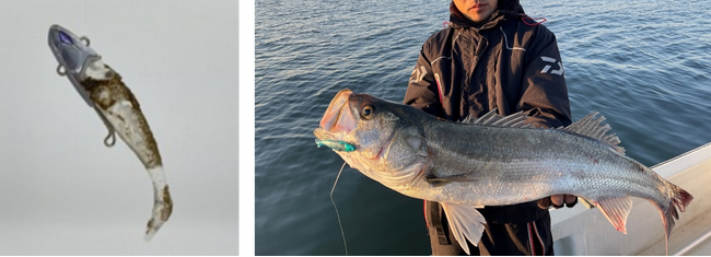 大好きな海と釣りを未来につなげる　今を知らんぷりしない挑戦　東京海洋大学と共同開発　96％水の次世代ルアー