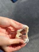開運塩豆大福(2) 開運塩豆大福(2)