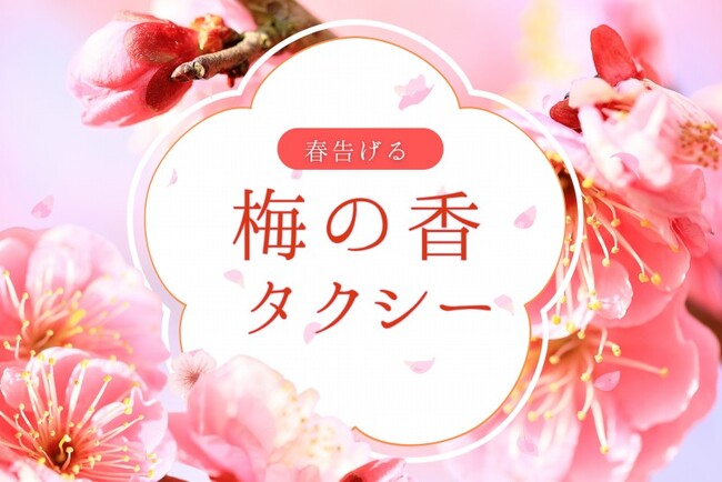 日本交通・東京観光タクシーで、ひと足早い“お花見”を　「梅の香タクシー」期間限定運行