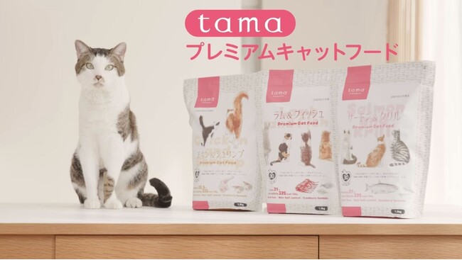 《tama》プレミアムキャットフード『ボナペティ』シリーズの動画広告を公開