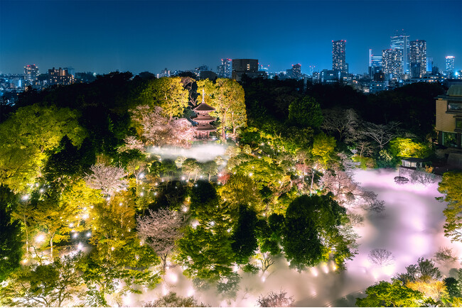 【ホテル椿山荘東京】“桜”と“雲海”と“光”の饗宴で日本庭園をピンク色に彩る風物詩！「夜桜雲海」を2月7日よりスタート