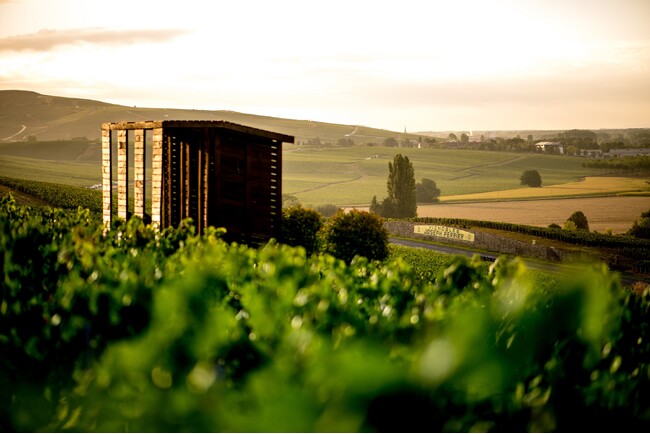 創業200周年のシャンパーニュ・メゾン「Joseph Perrier(ジョセフ・ぺリエ)」の記念ディナーを京都で開催