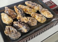 牡蠣が今から大きくなります！淡路島で旬の牡蠣に舌鼓！「淡路島タコステ」で味わう“焼き牡蠣食べ放題”2月末まで開催