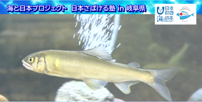 川と海を行き来する県魚「鮎」をさばいて“海の恵み”を知る『日本さばける塾 in 岐阜県』を開催