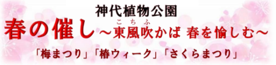 神代植物公園「春の催し～東風吹(こちふ)かば 春を愉しむ～」開催