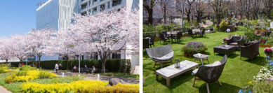 【東京ミッドタウン】東京ミッドタウンで春を満喫　都心で楽しむ桜並木とアート
「MIDTOWN BLOSSOM 2025」開催