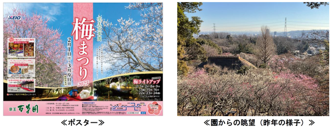 京王百草園で恒例の「梅まつり」を開催します!
