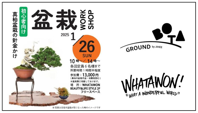 手ぶらで楽しむ初めての盆栽体験!南大阪の『WHATAWON』で心癒されるひとときを。