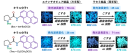 図1.分子1および分子2のエナンチオピュア結晶とラセミ結晶による対照的なMCL