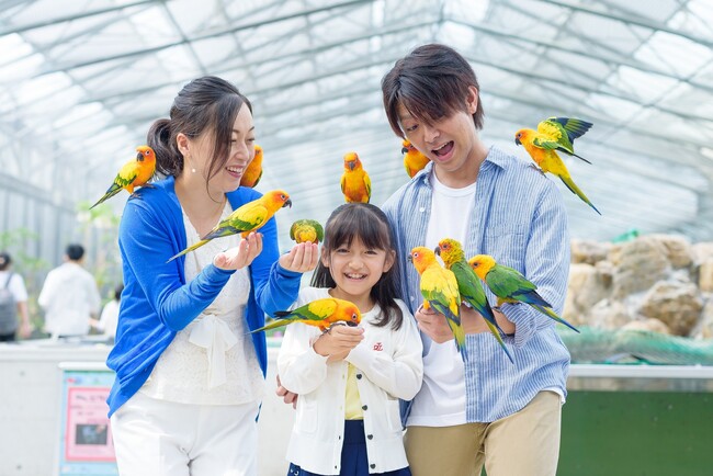 【JAF静岡】掛川花鳥園にJAFイベントブースを出展します!