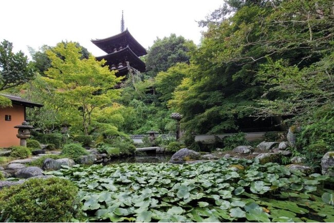 【奈良ホテル】當麻寺初公開の村上裕二障壁画「龍游図」を拝観 写仏・お抹茶体験で大人の休息を 奈良ホテルプラス『當麻寺 ご案内ツアー付き宿泊プラン ～朝食付～』について