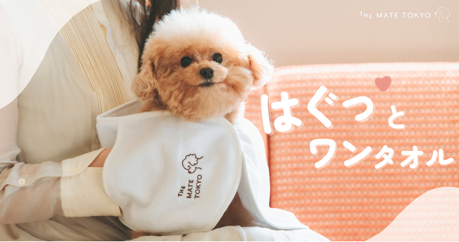 【新商品】愛犬を優しく包み込むタオルケア。ハグする感覚で使える「はぐっとワンタオル」1月24日より先行発売開始