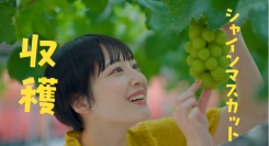 ふるさと納税返礼品が満載！山梨県忍野村が新作公式プロモーション動画を公開！