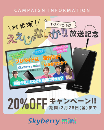 TOKYO MX 「ええじゃないか!!」でスカイベリー(R)miniが紹介されました