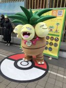 ナッシーグリーティング ナッシーグリーティング