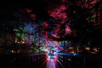 新感覚体験!四万十町で光の温泉イルミネーション開催