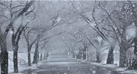 白銀の季節到来!雪景色と名湯と伝統の祭りで情趣あふれる冬旅を 白銀の季節到来!雪景色と名湯と伝統の祭りで情趣あふれる冬旅を