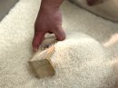 「米すくい取り」(イメージ) 「米すくい取り」(イメージ)