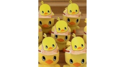 ～2/1(土)-2(日)カップヌードルミュージアム 横浜リニューアルオープン記念～高校生以下の来館者に「ひよこちゃんキャップ」 プレゼント！