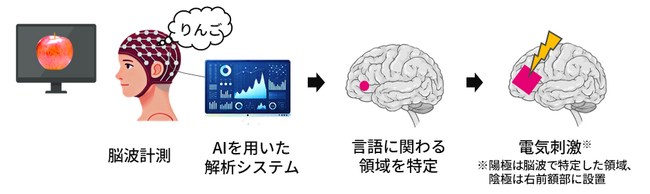 脳波信号で言語機能脳領域の個人差を推定