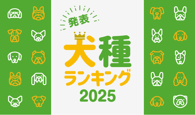 最新版!『人気犬種ランキング2025』