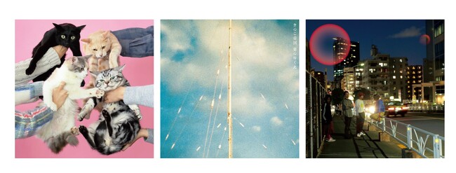 【HMV record shop 独自企画盤】ロックバンド「きのこ帝国」初となるメジャーデビュー10周年を記念したアナログ盤３タイトルの同時リリースが決定！2025年1月29日(水)より予約受付開始！