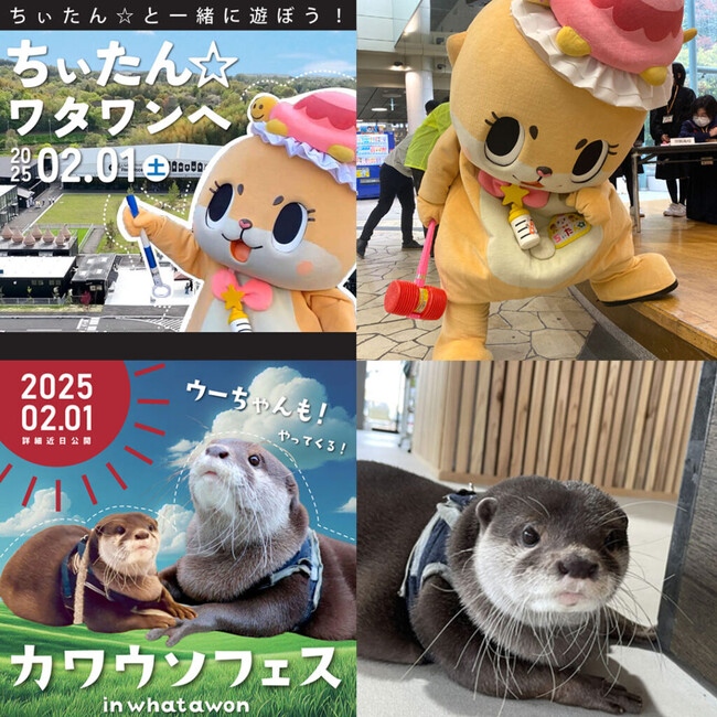 【ちぃたん☆ワタワンへ】SNSで話題のコツメカワウソの妖精が南大阪で大暴れ!