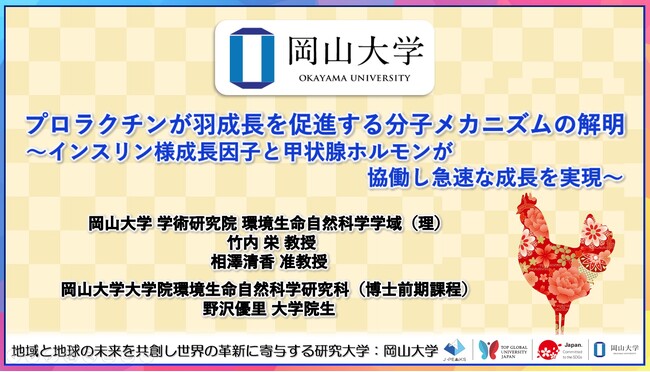 【岡山大学】プロラクチンが羽成長を促進する分子メカニズムの解明～インスリン様成長因子と甲状腺ホルモンが協働し急速な成長を実現～