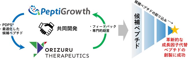オリヅルセラピューティクスとペプチグロース　成長因子代替ペプチドの共同開発に成功