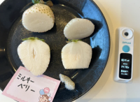 いちごの品種別の糖度を分析したランキングページを公開！産地直送・お取り寄せ通販サイトにてさまざまな品種の販売を開始