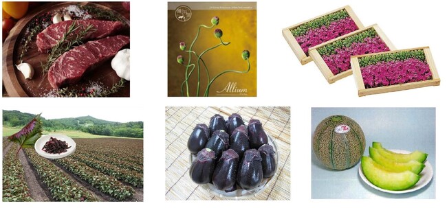 かづの牛をはじめとする農畜産物・加工品6産品を、地理的表示（GI）として登録