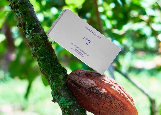 メゾンカカオの新提案【テロワール】を楽しむチョコレート。即完する月替わりの「生ガトーショコラ」、No.2は2月1日に登場 。