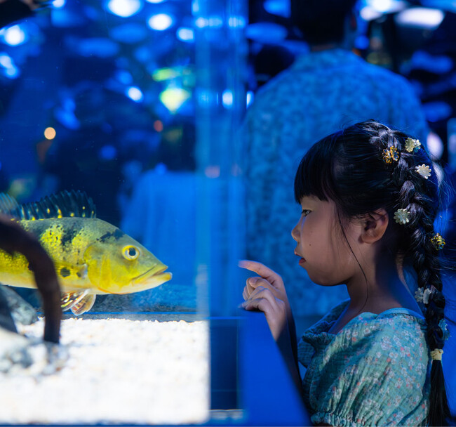 親子でアトアへ行こう！大人１名につき幼児１名が無料に！